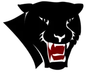 1200px-Florida_Tech_Panthers_logo.svg-i600e