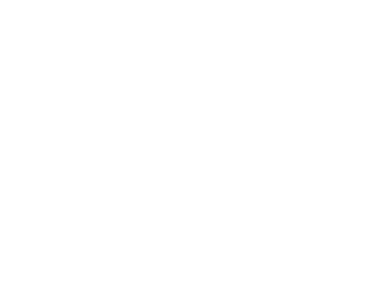 Chicago Elite